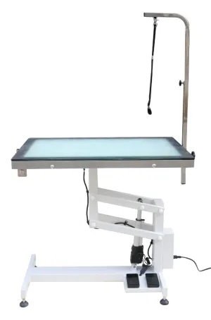 Pet-Agree Economy LED Lighted Electric Table - 36"