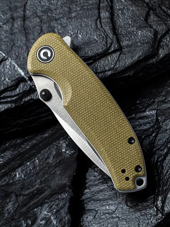 Pintail