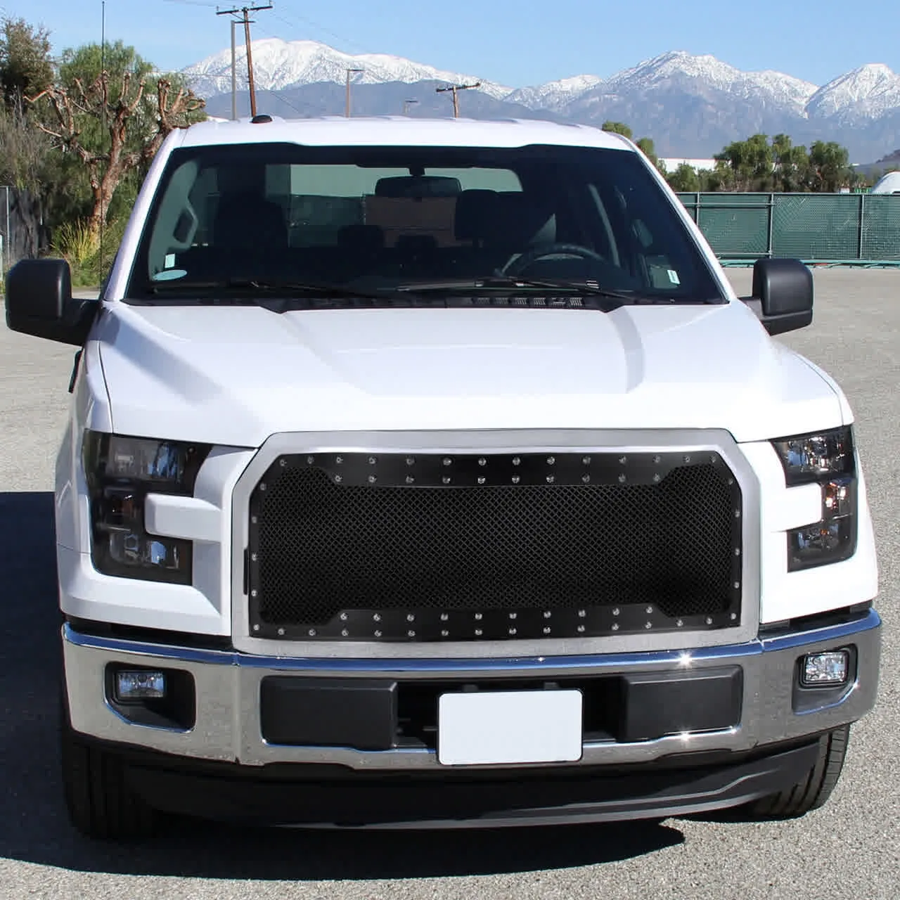 Spec-D Grill Ford F150 (2015-2017) Rivet Style or Horizontal Style