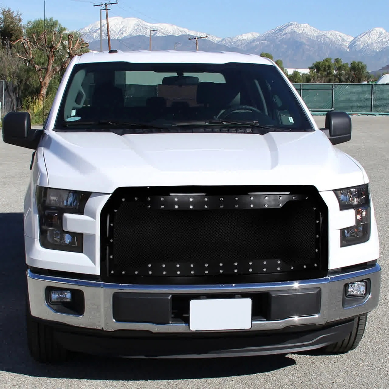 Spec-D Grill Ford F150 (2015-2017) Rivet Style or Horizontal Style